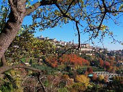 In CITTA’ ALTA per stradette-salite-scalette -23nov23  - FOTOGALLERY
